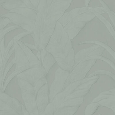 monsoon20-musa-75003b-flatshot-web-lr